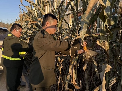 637a9dc1fc0bc2b02bc239d10423952f.jpg 637a9dc1fc0bc2b02bc239d10423952f.jpg