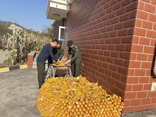 3afbe38c819da9729650f9b1257d72fc.jpg 3afbe38c819da9729650f9b1257d72fc.jpg