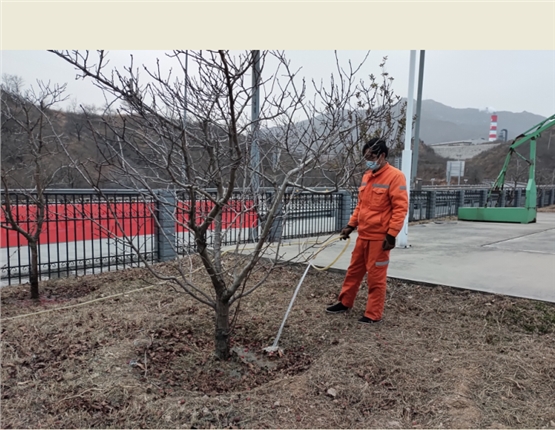 果树封冻水.png